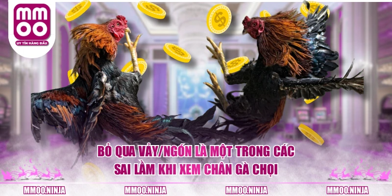Bỏ qua vảy/ngón là một trong các sai lầm khi xem chân gà chọi
