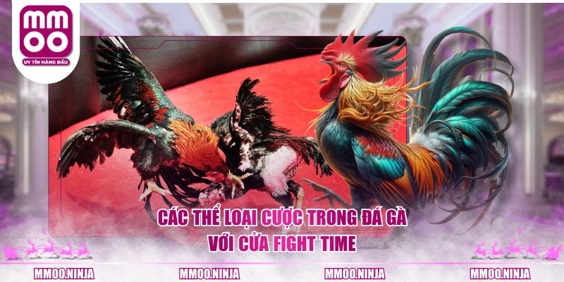 Các thể loại cược trong đá gà với cửa Fight Time