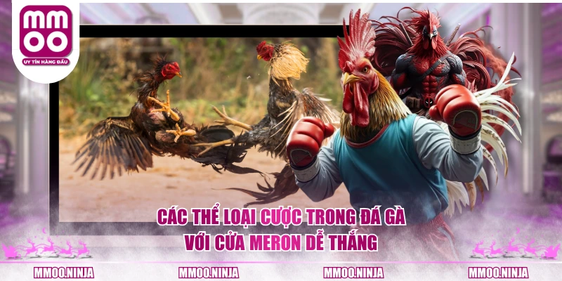 Các thể loại cược trong đá gà với cửa Meron dễ thắng