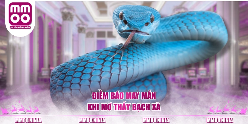 Điềm báo may mắn khi mơ thấy bạch xà