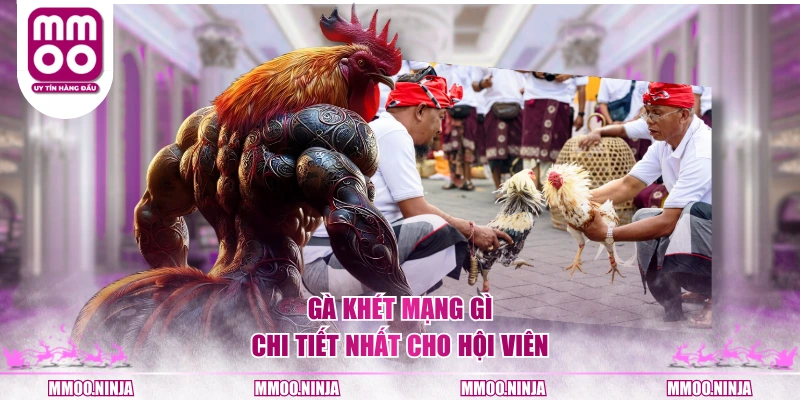 Gà khét mạng gì chi tiết nhất cho hội viên
