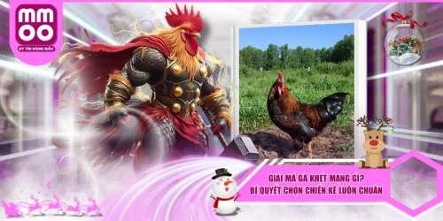Gà Khét Mạng Gì