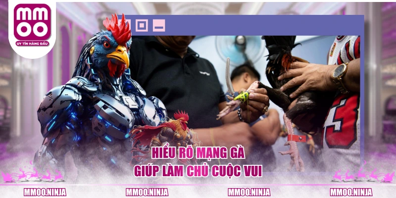 Hiểu rõ mạng gà giúp làm chủ cuộc vui