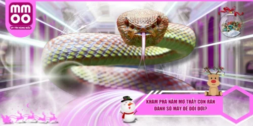 Nằm Mơ Thấy Con Rắn Đánh Số