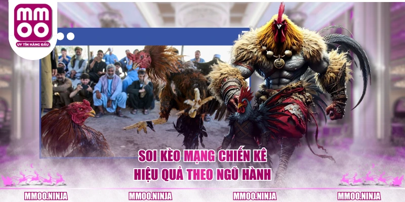 Soi kèo mạng chiến kê hiệu quả theo ngũ hành