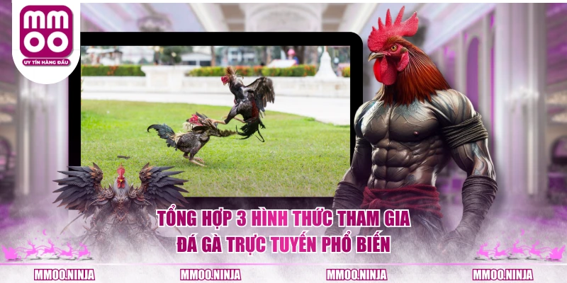 Tổng hợp 3 hình thức tham gia đá gà trực tuyến phổ biến