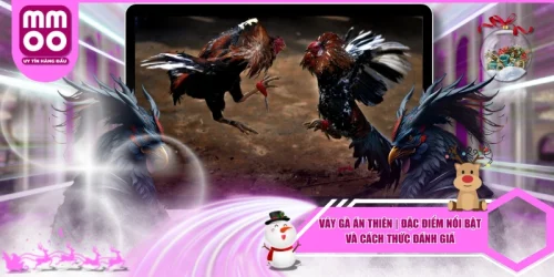 Vảy Gà Án Thiên